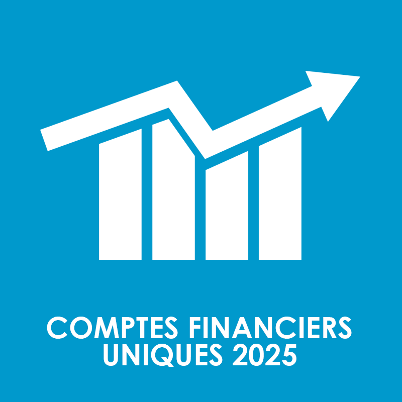Comptes Financiers Uniques 2025 Rouffignac Dordogne