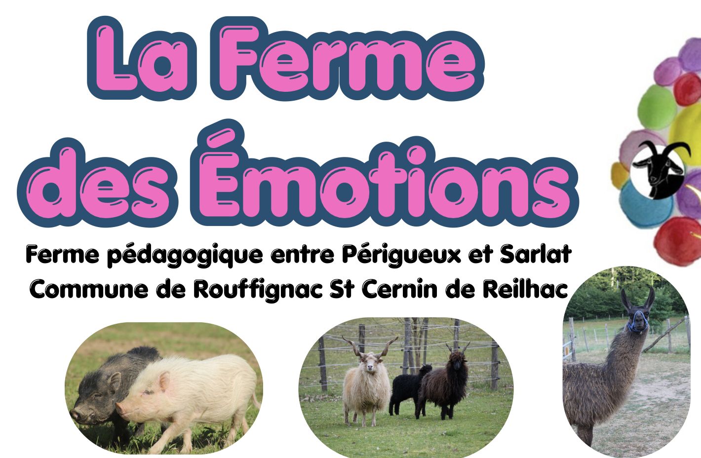 Anniversaire Ferme des Emotions Rouffignac Dordogne